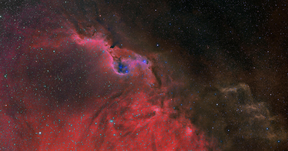 Lambda Orionis Ring Telescope Live